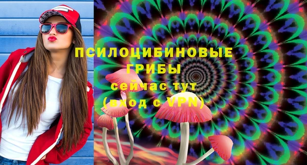 молекула духа Алзамай