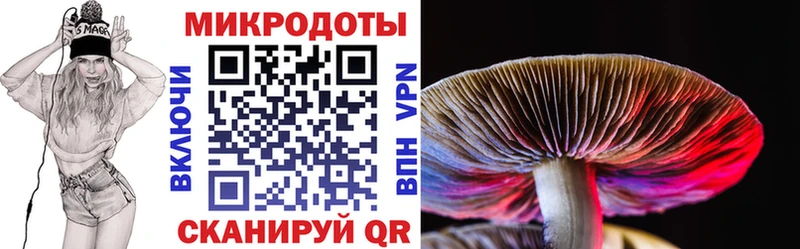 Псилоцибиновые грибы MAGIC MUSHROOMS  продажа наркотиков  Любань 